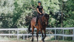 Horse Riding for Beginners [Adobe]