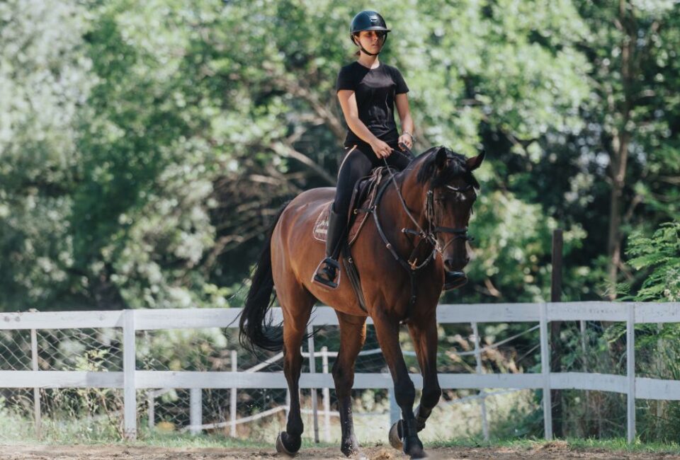 Horse Riding for Beginners [Adobe]
