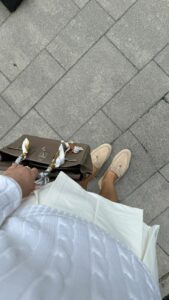 Chic Style Collective | Spring Fashion 2026: The Quiet Luxury Wardrobe That Looks Expensive Without Florals Spring Fashion Trends 2025
