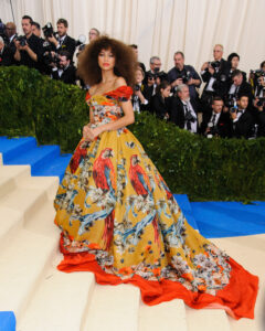 Met Gala Dresse  [Shutterstock] 