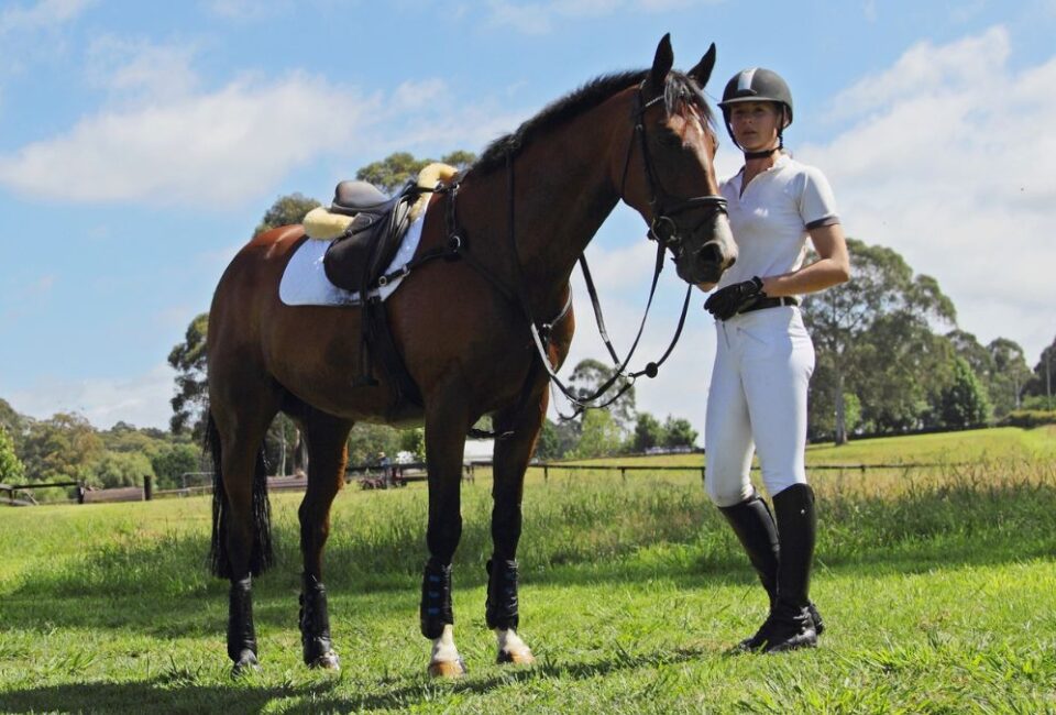 Equestrian Outfit [Canva]