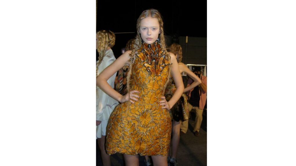 Chic Style Collective Hero Image 984