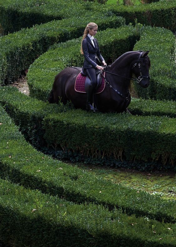 Chic Style Collective | The Complete Guide to Old Money: Dressing, Living and Thinking Like the Elite 🐎🏹