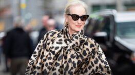 DeMellier Hudson Handbag 2026 [DeMellier]