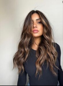 Chic Style Collective | 6 Brunette Hair Colours Trending This Summer According to The Experts The Expensive Old Money Brunette Gallery Old Money Fashion Aesthetic 4